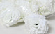 Dianthus Blanc Artificielle D7cm