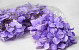 Artificial Hydrangea Head Pastel Lilac D16cm 