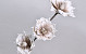 Fleurs en mousse Mocca, D 18cm