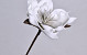 Foam Flower White/Grey, D 16cm