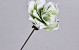 Fleur en mousse Vert, D 16cm