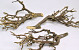 Murray Branch 40cm