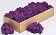 Rendiermos Paars 500gr.