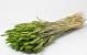 Bouquet Triticum Vert (blé) 70cm