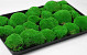 Bolmos Lichtgroen (Tray 38x58cm)