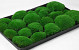 Boule de mousse Vert Forêt (Tray 38x58cm)
