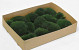 Bolmos Donkergroen (Tray 29x39cm)