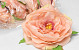 Pivoine Pêche Artificielle D13cm