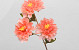 Kunst Dahlia Perzik 64cm