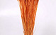 Bouquet Triticum Orange Claire (blé) 70cm