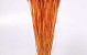 Bouquet Triticum Orange Claire (blé) 70cm