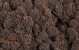 Reindeer Moss Brown per kg