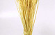 Triticum Bright Yellow (wheat) 70cm