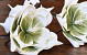 Blume Schaumstoff Grün, D 16cm