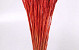 Bouquet Triticum Rouge Clair (blé) 70cm