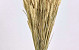 Tarwe Zongebleekt 70cm