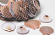 Shells Amusium Japonicum 1kg