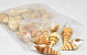 Coquillages Rouge Eluthani 1kg