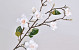 Magnolia Branch 90cm White