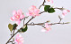 Magnolia Branch 90cm Pink