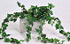 Garland Hedera 60cm