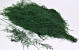 Asparagus bos H70-90cm Groen 200gr.