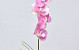 Orchidée Papillon Rose 44cm