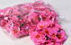 Hortensia Kop D18cm Fuchsia