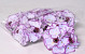 Hydrangea D18cm White-Purple