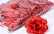 Rose D10cm Red