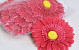 Gerbera D15cm Pink