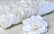 Rose D10cm White