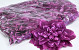 Dahlia D20cm Purple