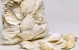Coquillages Canarium Blanc 1kg