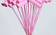 Banana Bundle sur Tige rose