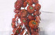 Pumpkin Red 125gr. 3-4cm