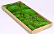 Cushion Moss green (tray 66x26cm)