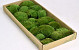 Boule de mousse Vert Forêt (tray 66x26cm)