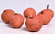 Meloen Large Rood 7-9cm