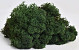 Reindeer Moss Dark Green 40g.