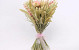 Droogboeket Grassen 50cm roze