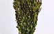 Box Green 90cm 800gr.