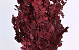 Oak Leaves Red 1Kg