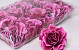 Roos D10cm Bordeaux