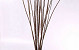 Bacaba Grass 20pcs 90-115cm
