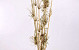 Bamboo stem with leafs 1m