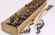 Black Berry Branch 100-Pack