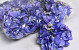 Hydrangea Head D14cm Blue/Purple