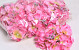 Hydrangea Head D14cm Pink