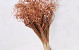 Curly Ting 250pcs Copper